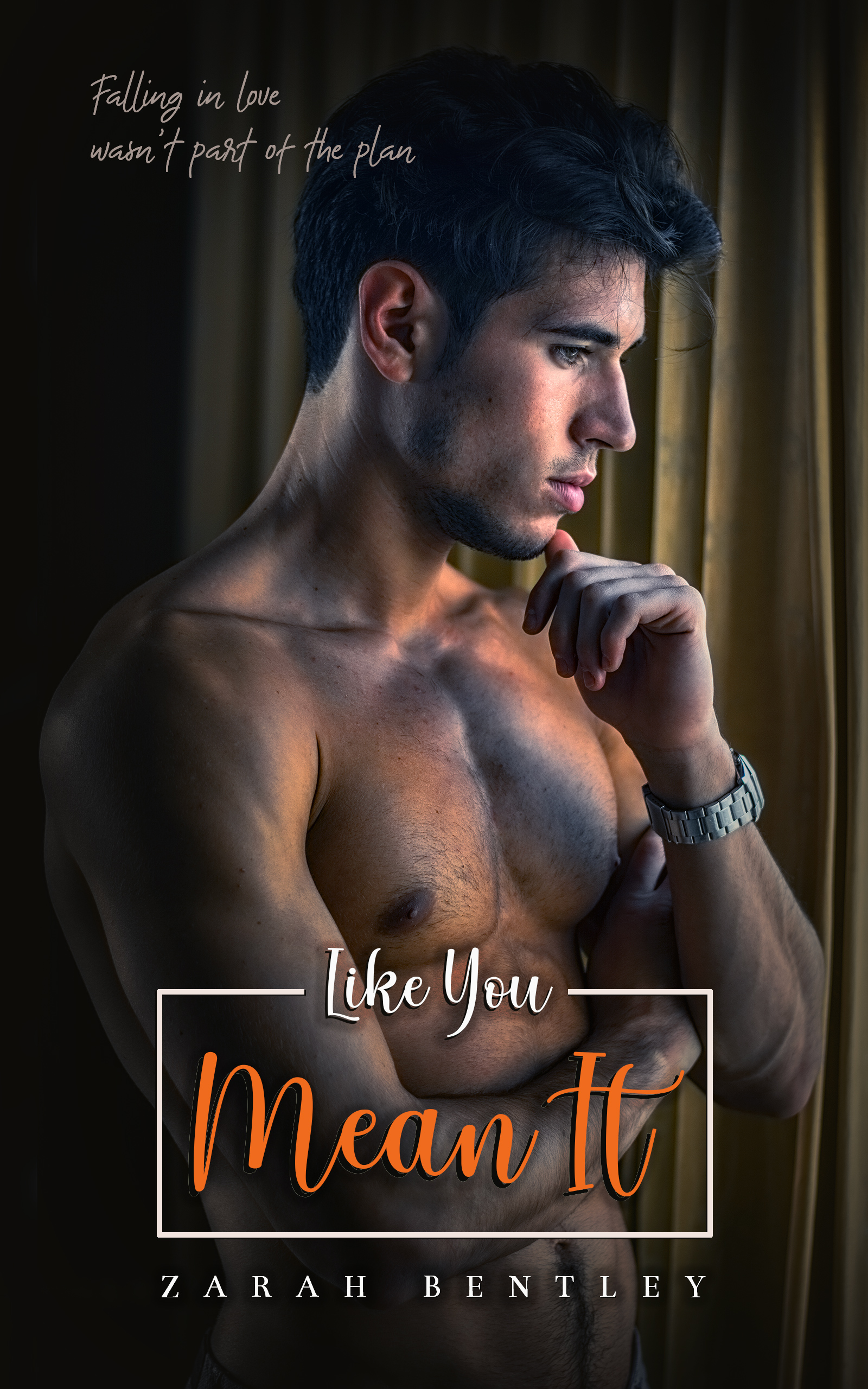 Like You Mean It (Kindle Edition)