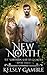 New North (The Northern Shi...
