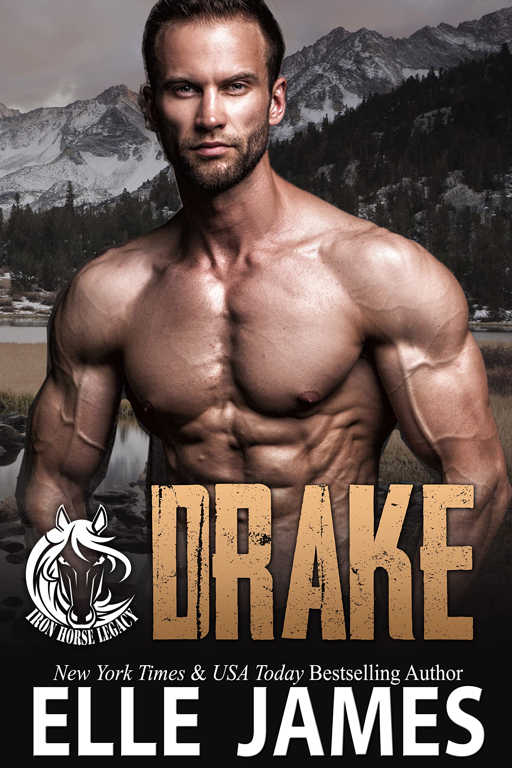 Drake (Iron Horse Legacy #6)