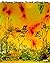 Wolfgang Tillmans: To look ...