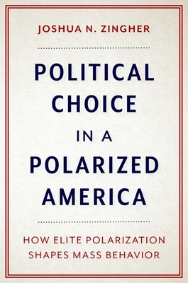 Political Choice in a Polarized America: How Elite Polarization Shapes Mass Behavior (Paperback)