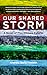 Our Shared Storm: A Novel o...
