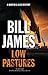 Low Pastures (A Harpur and Iles Mystery, 36)