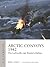 Arctic Convoys 1942: The Luftwaffe cuts Russia's lifeline (Air Campaign, 32)