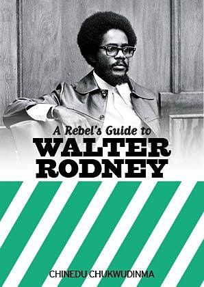 A Rebel's Guide to Walter Rodney (Rebel's Guide, #11)
