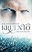 Der Informant (Kruento #6)