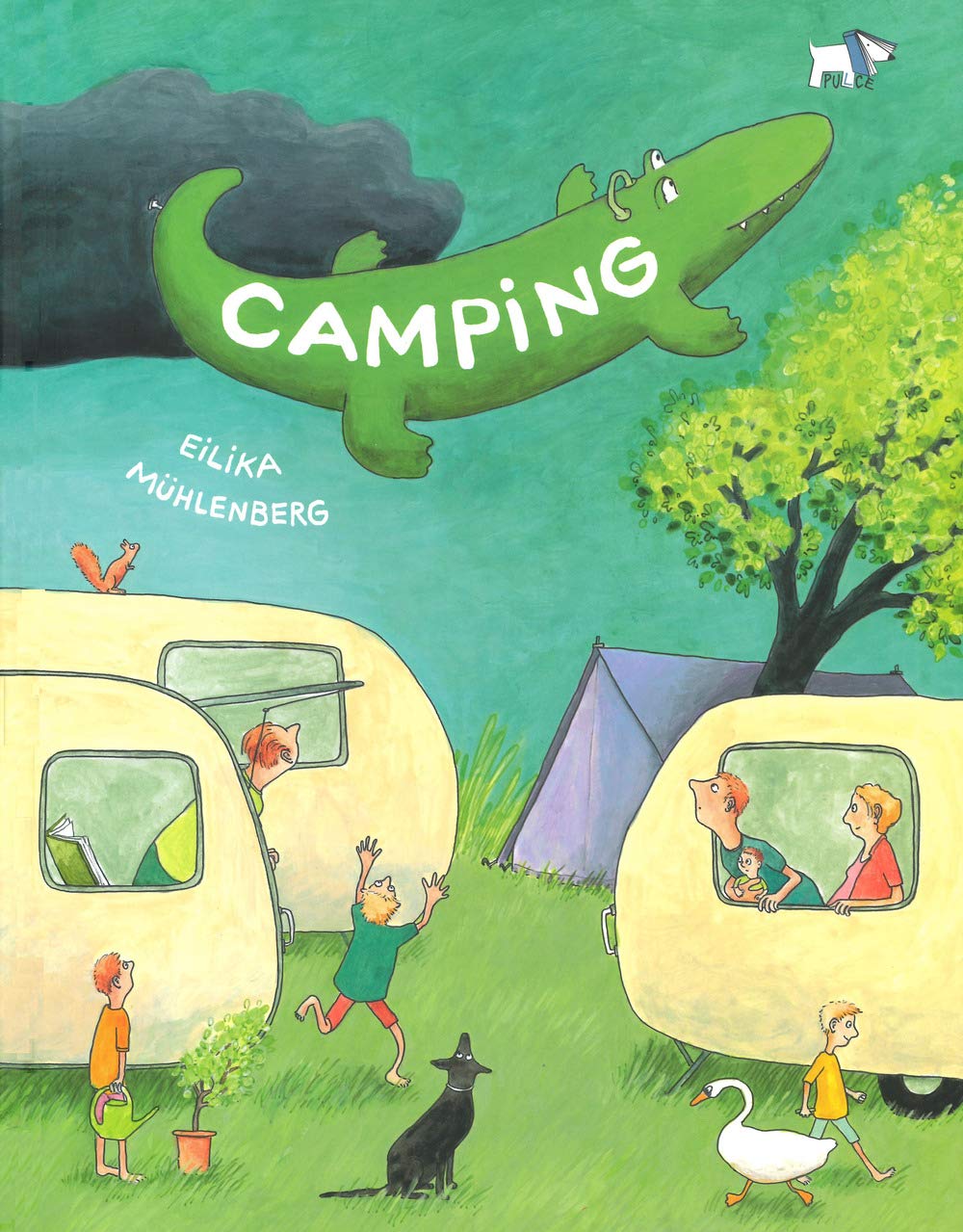 Camping (Hardcover)