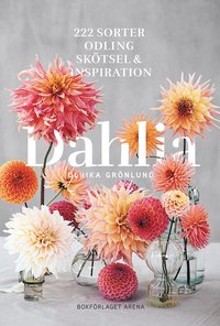 Dahlia: 222 sorter, odling, skötsel och inspiration (Paperback)