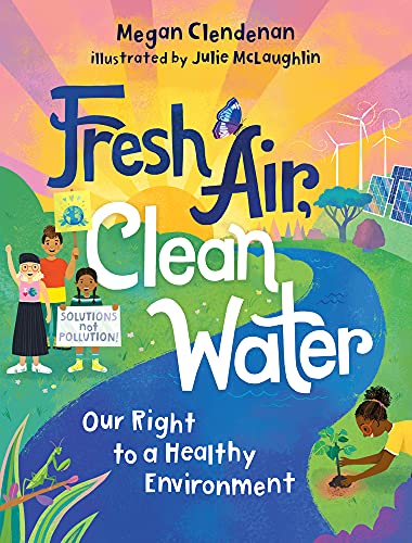 Fresh Air, Clean Water: Our Right to a Healthy Environment (Hardcover)