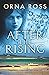 After The Rising: A Sweeping Saga of Love, Loss and Redemption - The Centenary Edition (The Irish Trilogy)