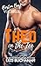 Theo On the Ice (Boston Bay Vikings #8) by Lexi Buchanan