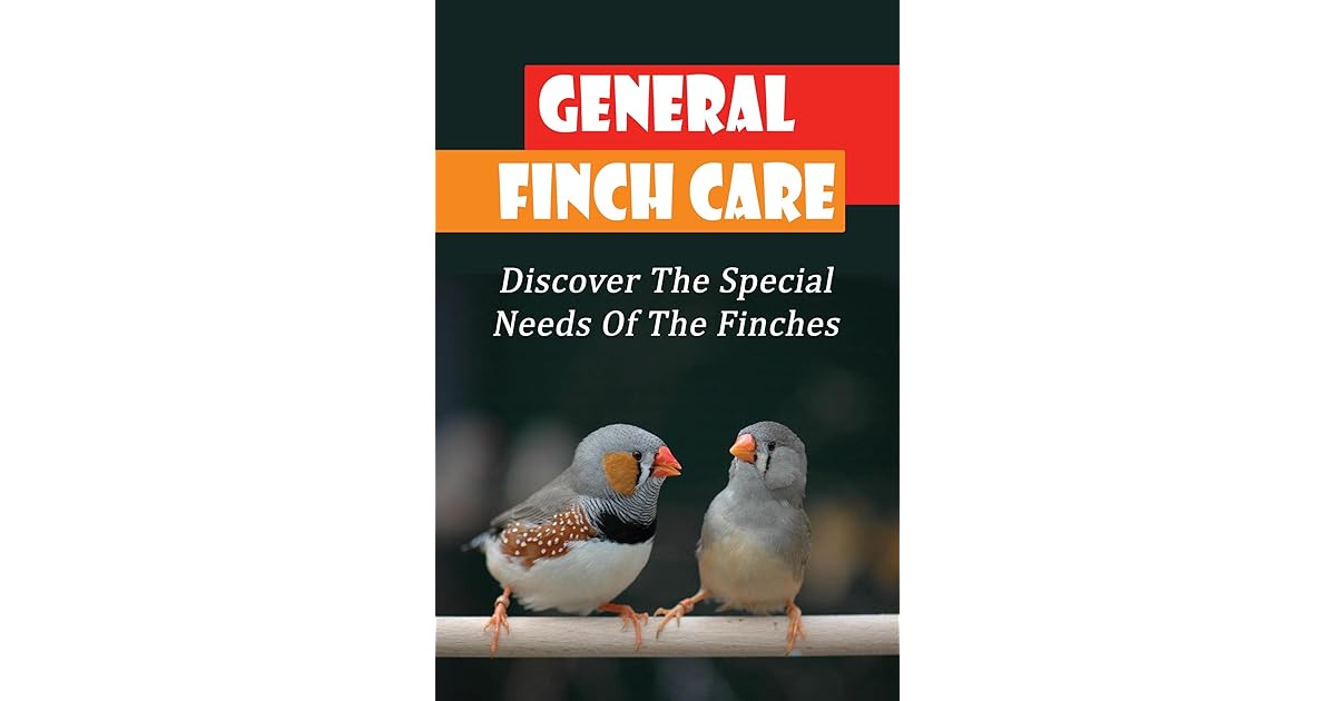 General Finch Care Discover The Special Needs Of The Finches by Jarred