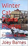 Winter Cat Trains Photos: Frozen in Time (King of Obsolete's Pictorial Book 2)