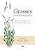 Grasses of South Australia by John Jessop