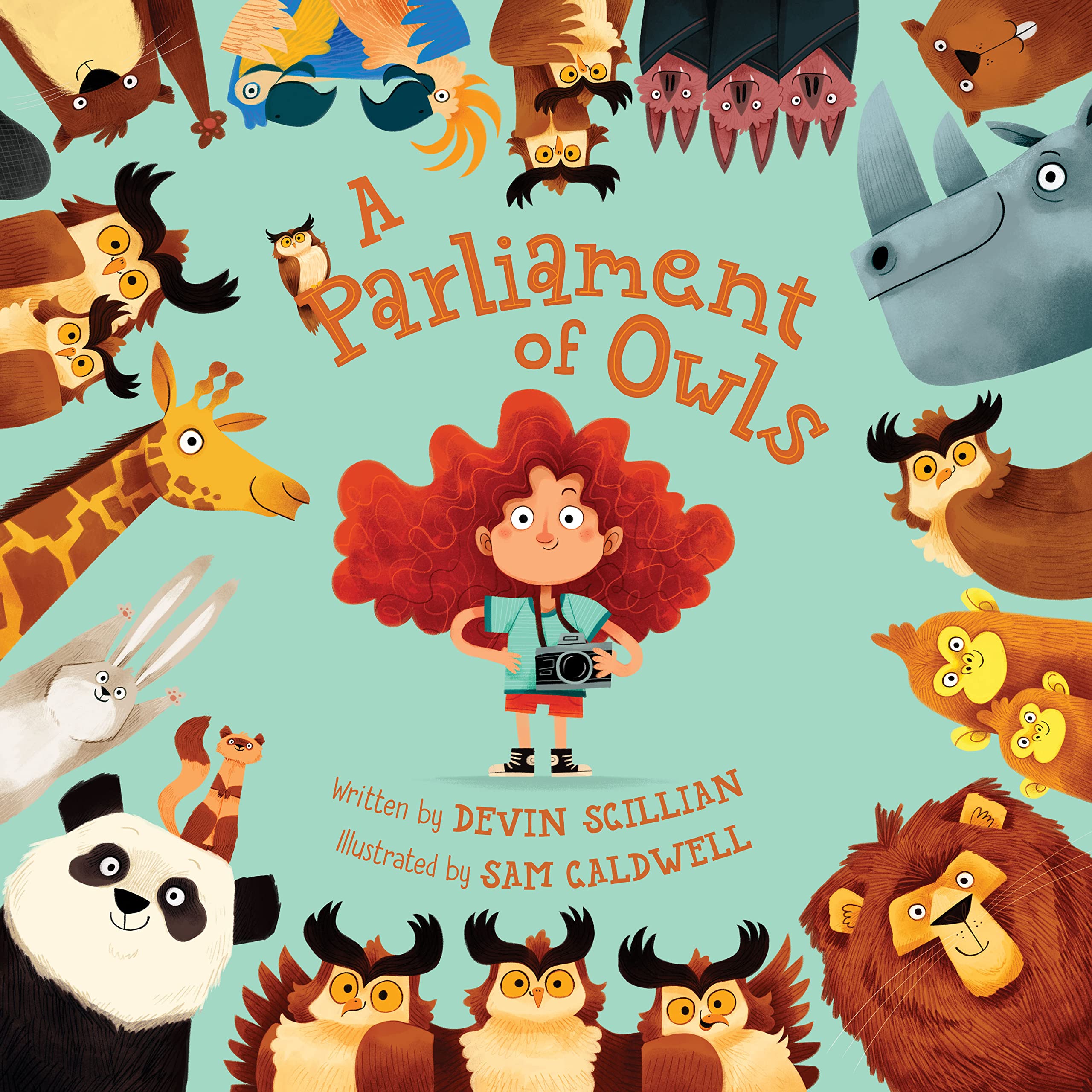 A Parliament of Owls (Hardcover)