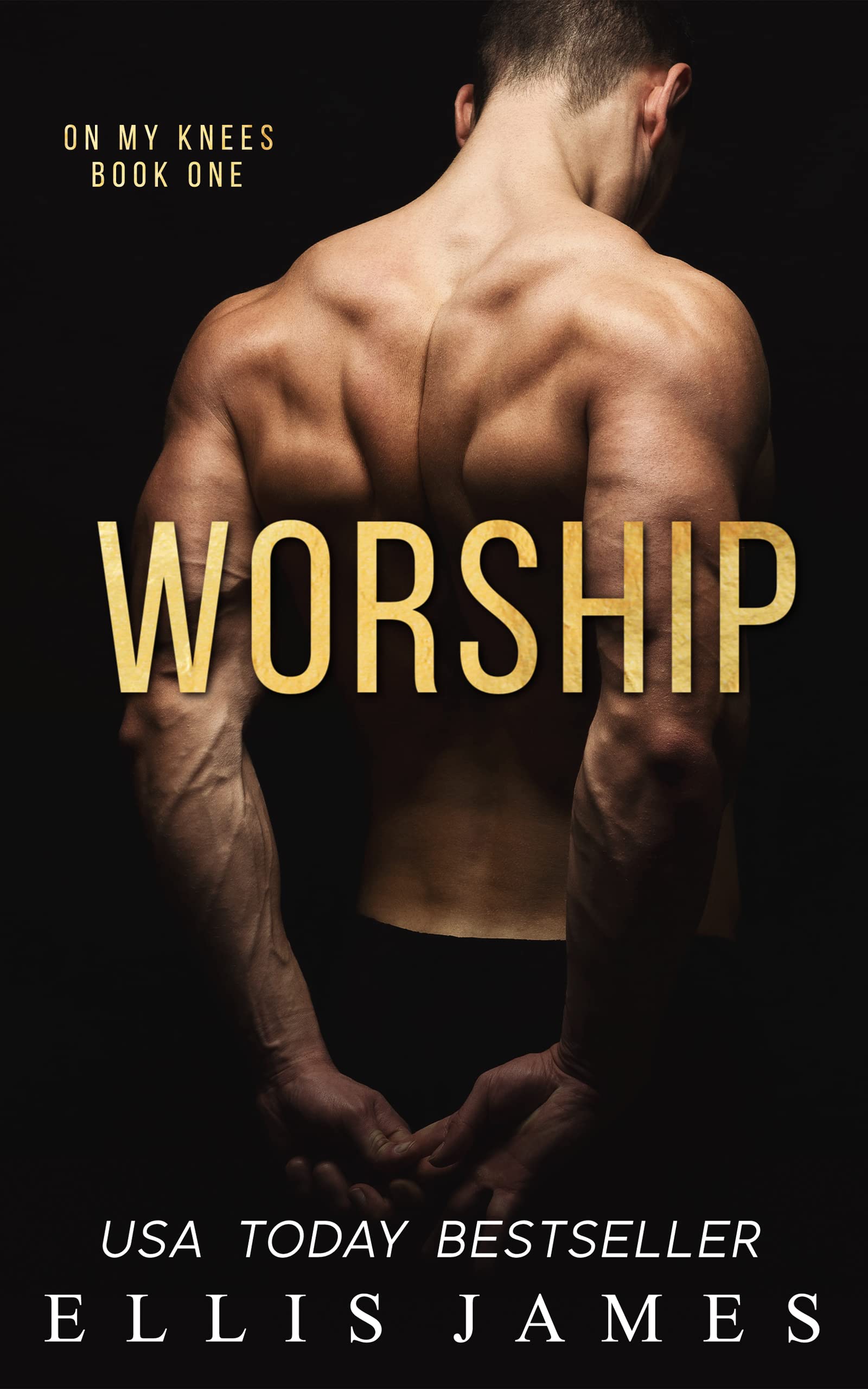 Worship (On My Knees #1)