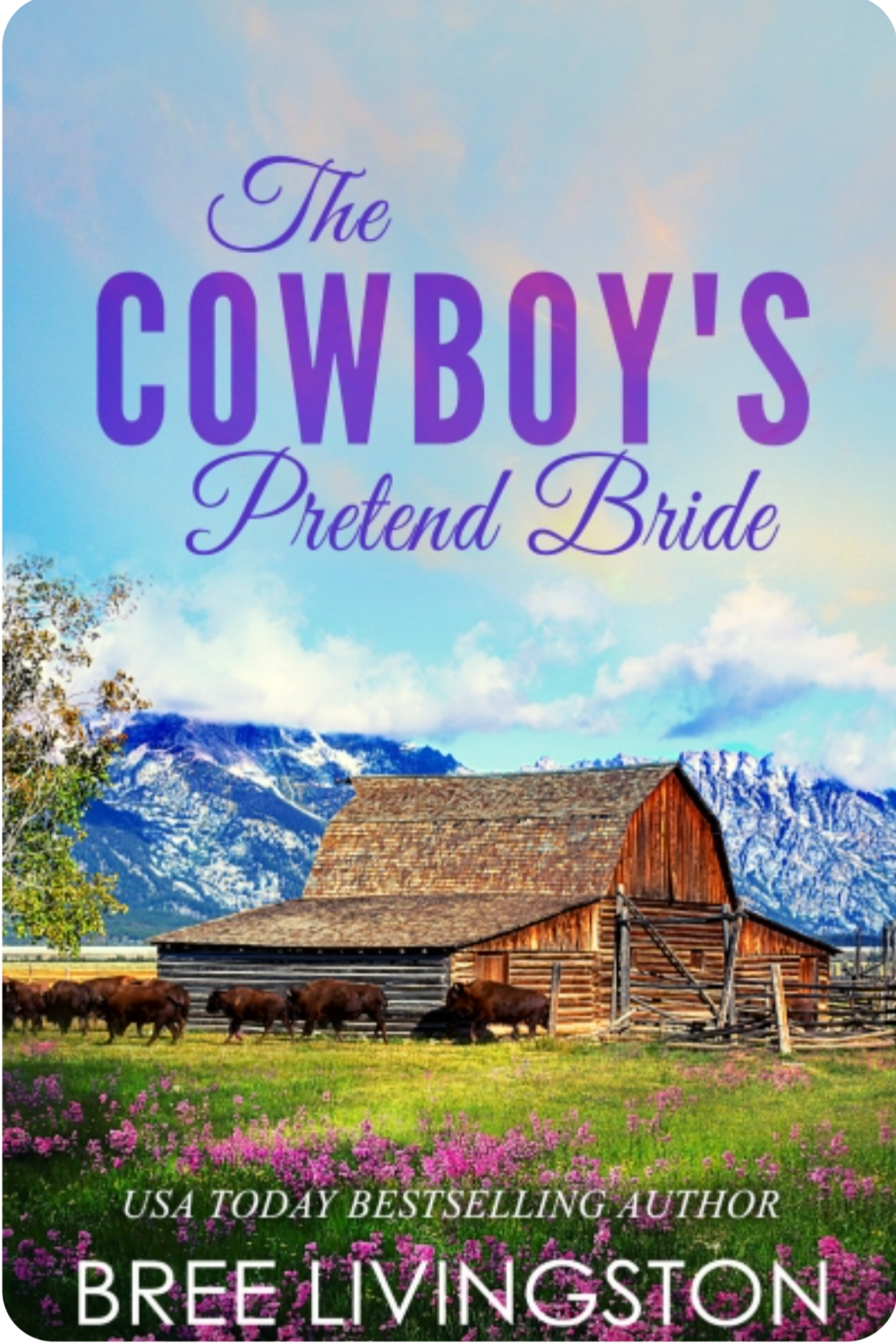 The Cowboy's Pretend Bride (ebook)