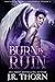 Burn in Ruin (Fortune Academy Underworld #4)