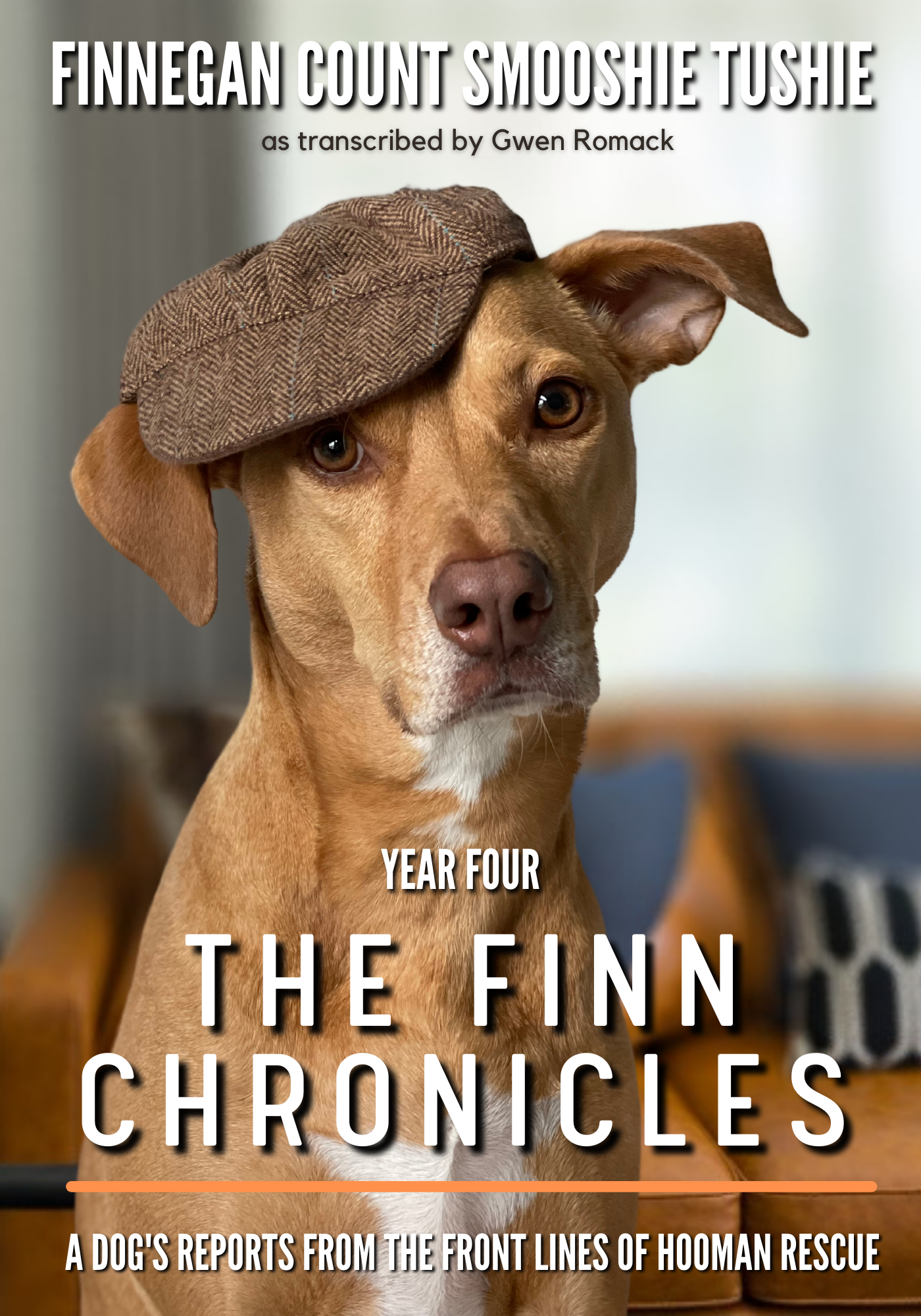 The Finn Chronicles: Year Four