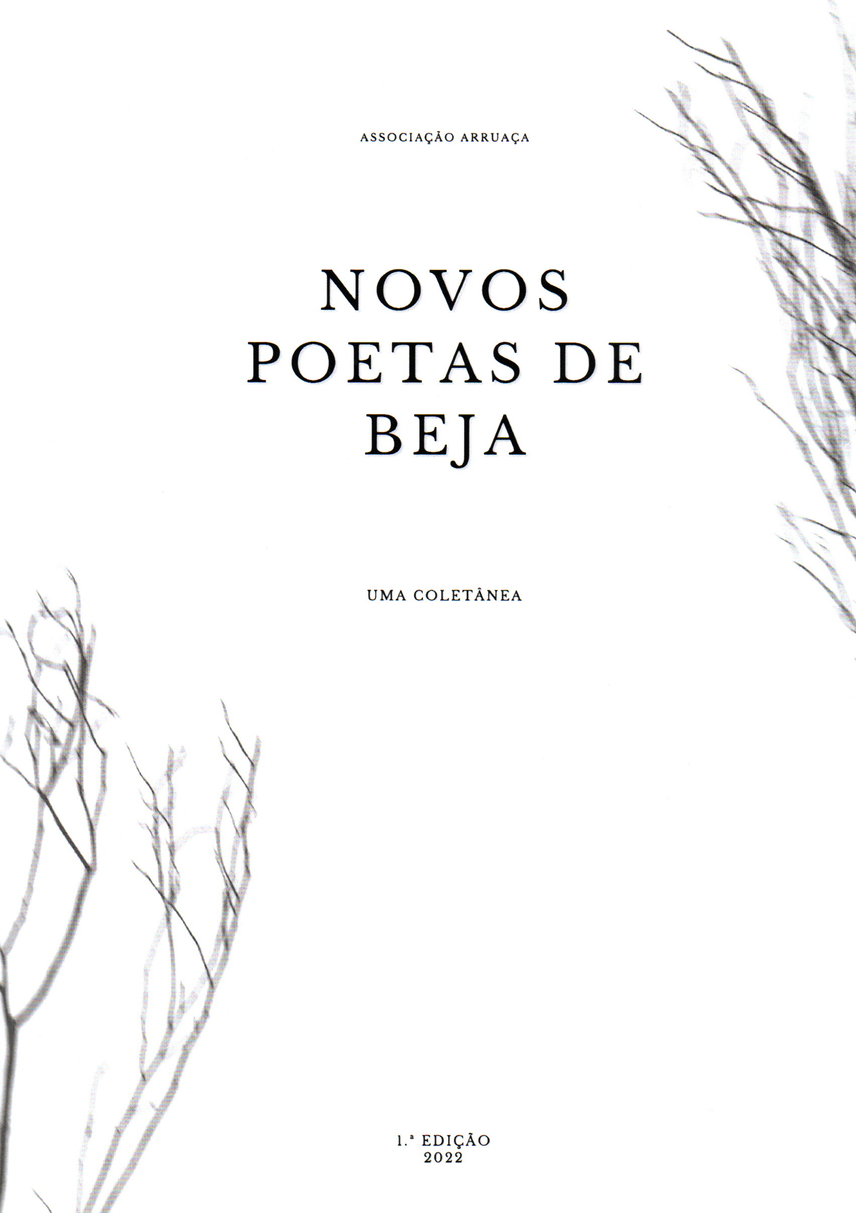 Novos Poetas de Beja - Uma Coletânea (Paperback)