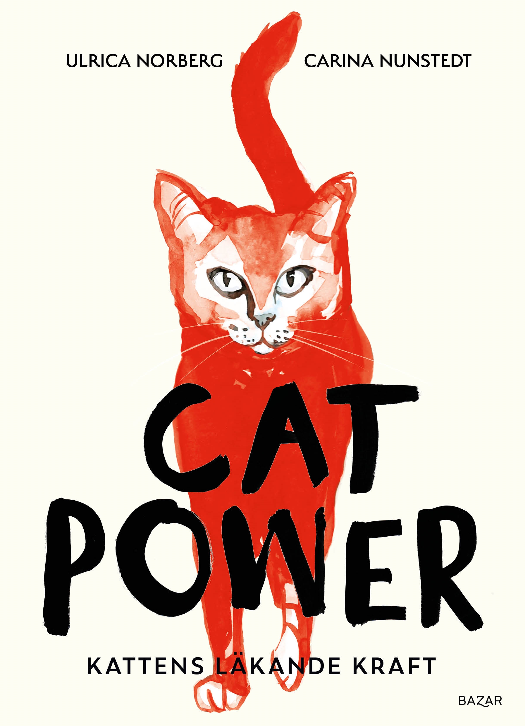 Cat Power: Kattens läkande kraft
