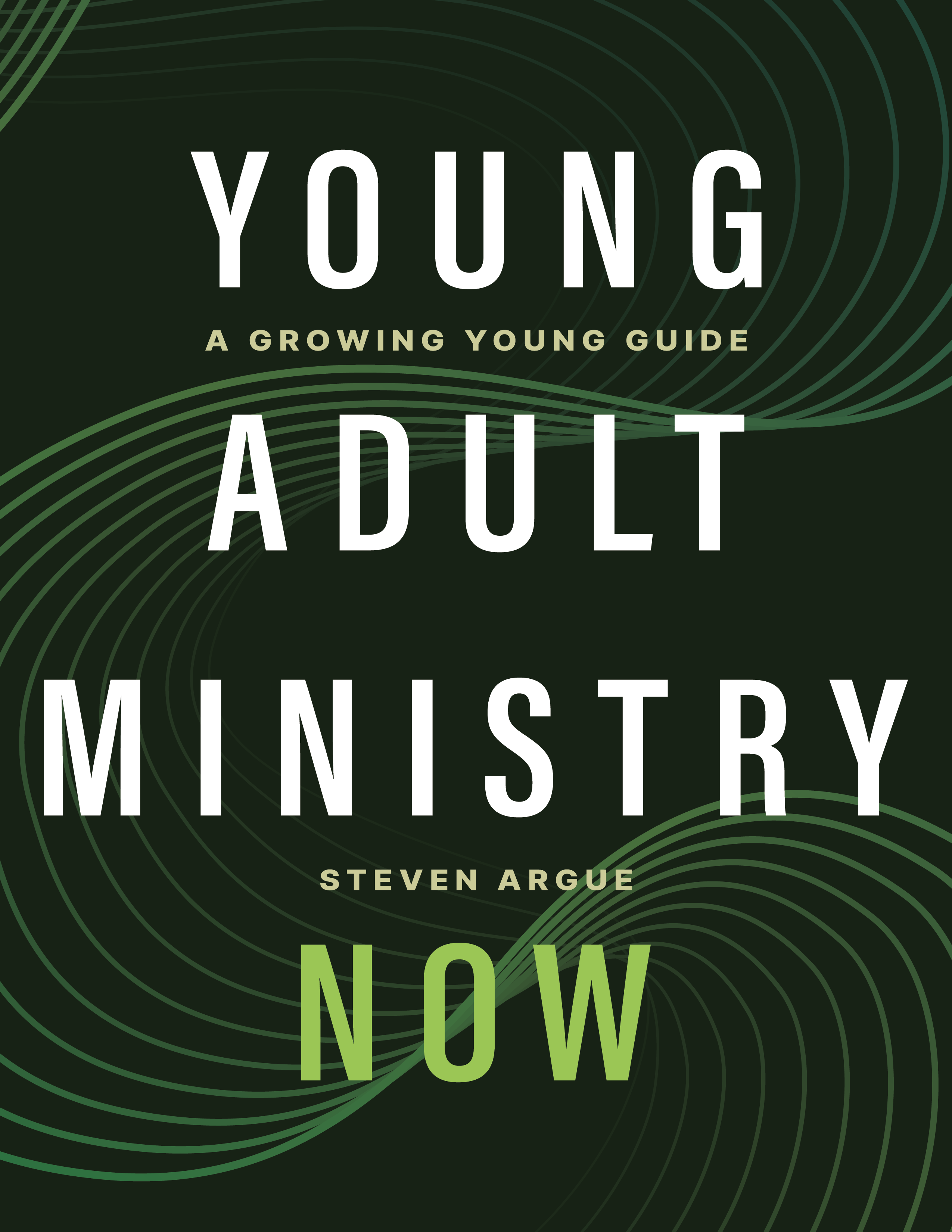 Young Adult Ministry Now (ebook)