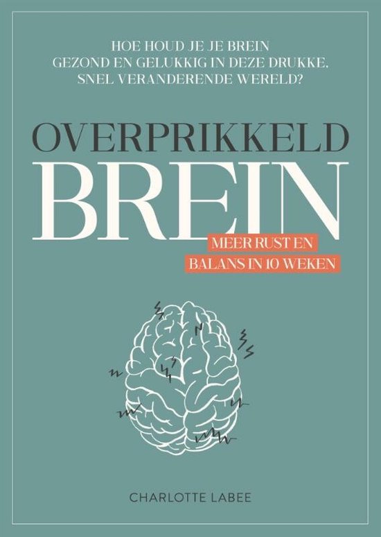 Overprikkeld Brein (Paperback)