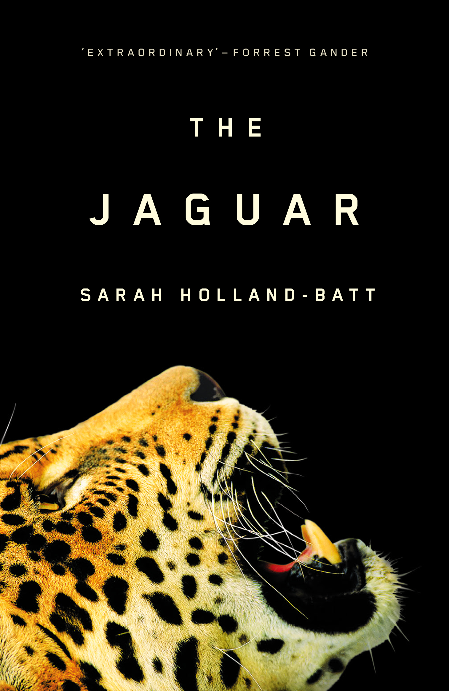 The Jaguar (Paperback)