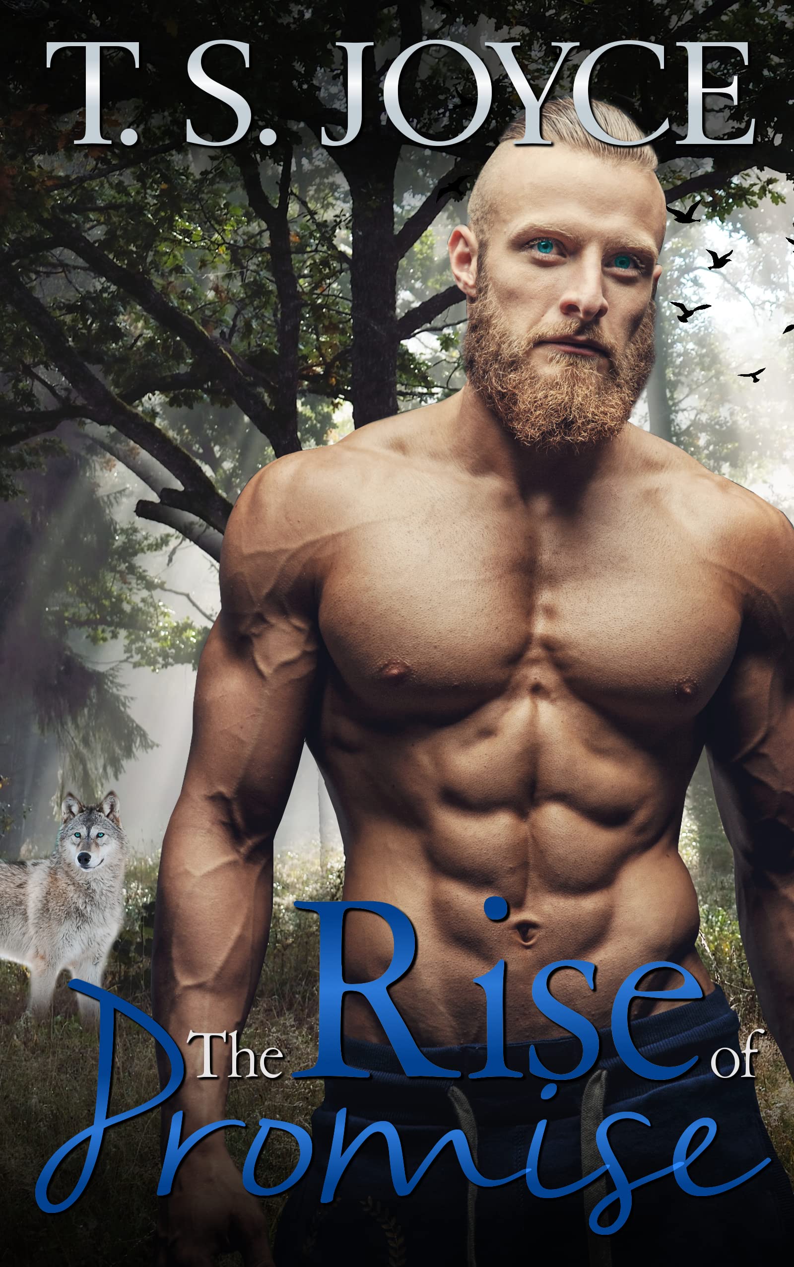 The Rise of Promise (The Wolves of Promise Falls #2)