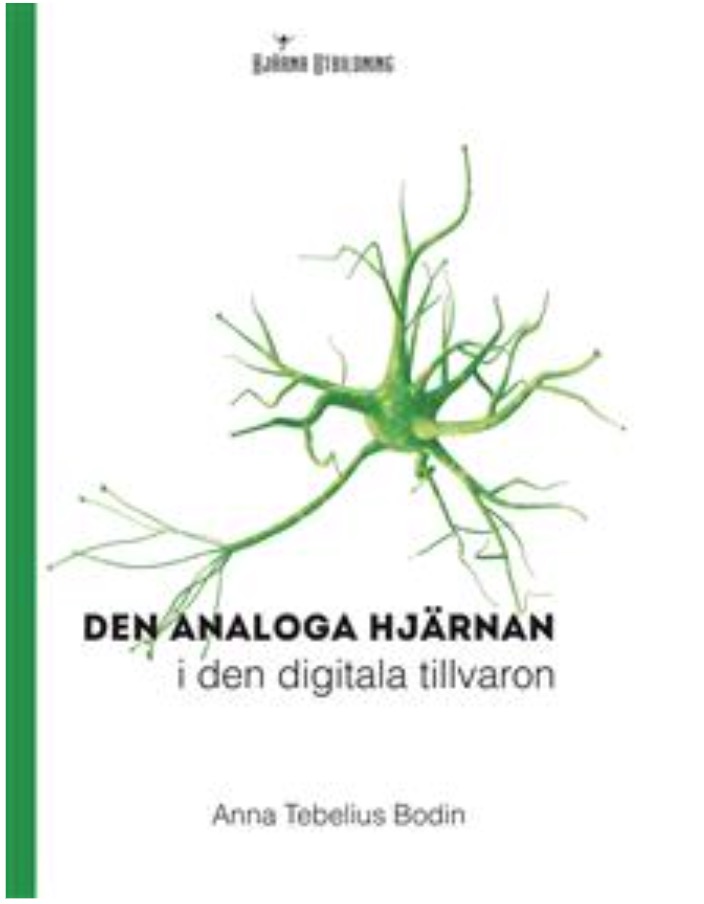 Den analoga hjärnan i den digitala tillvaron (Paperback)