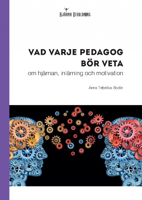 Vad varje pedagog bör veta - om hjärnan, inlärning och motivation (Paperback)