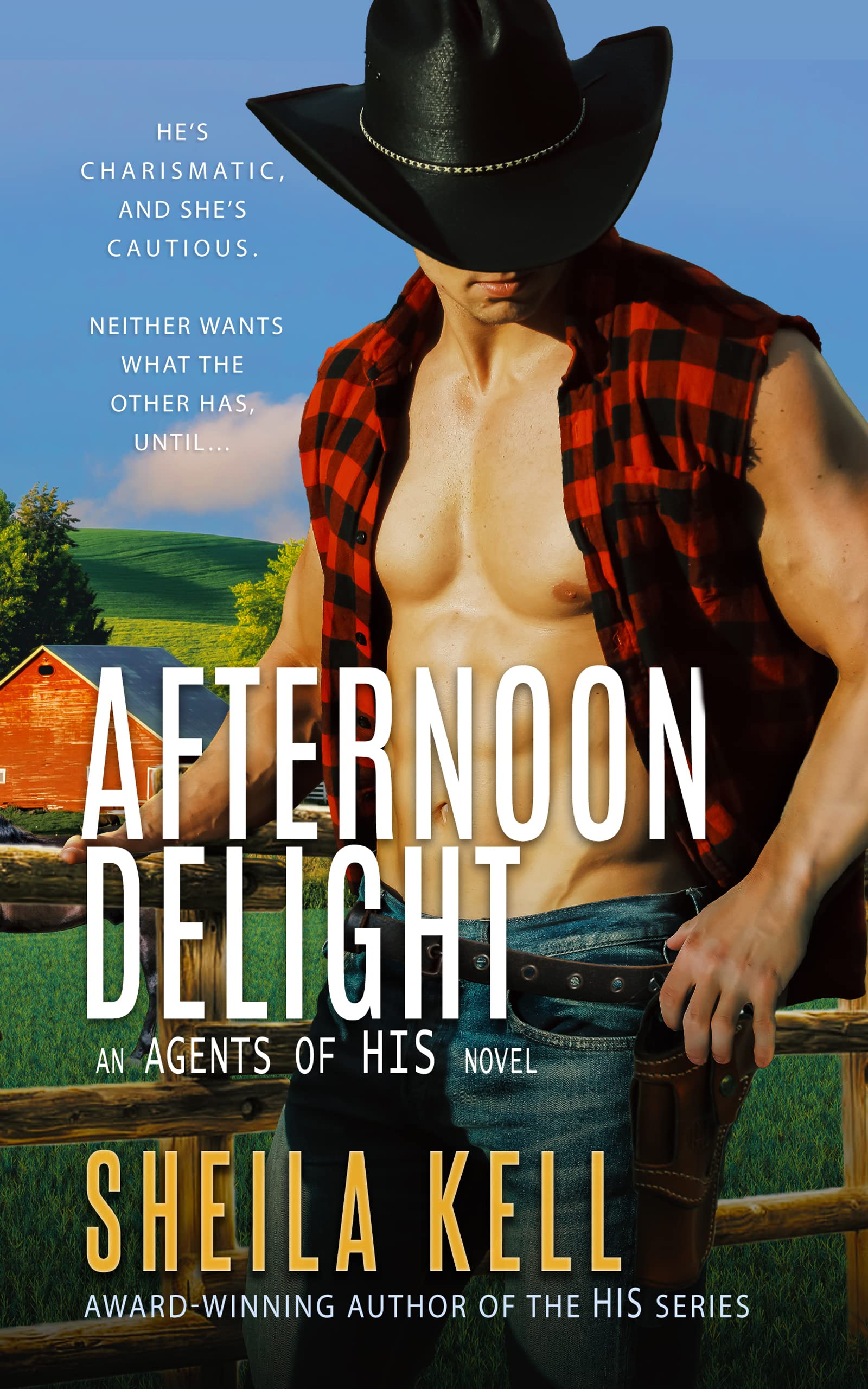 Afternoon Delight (Agents of HIS, #3; HIS, #11)