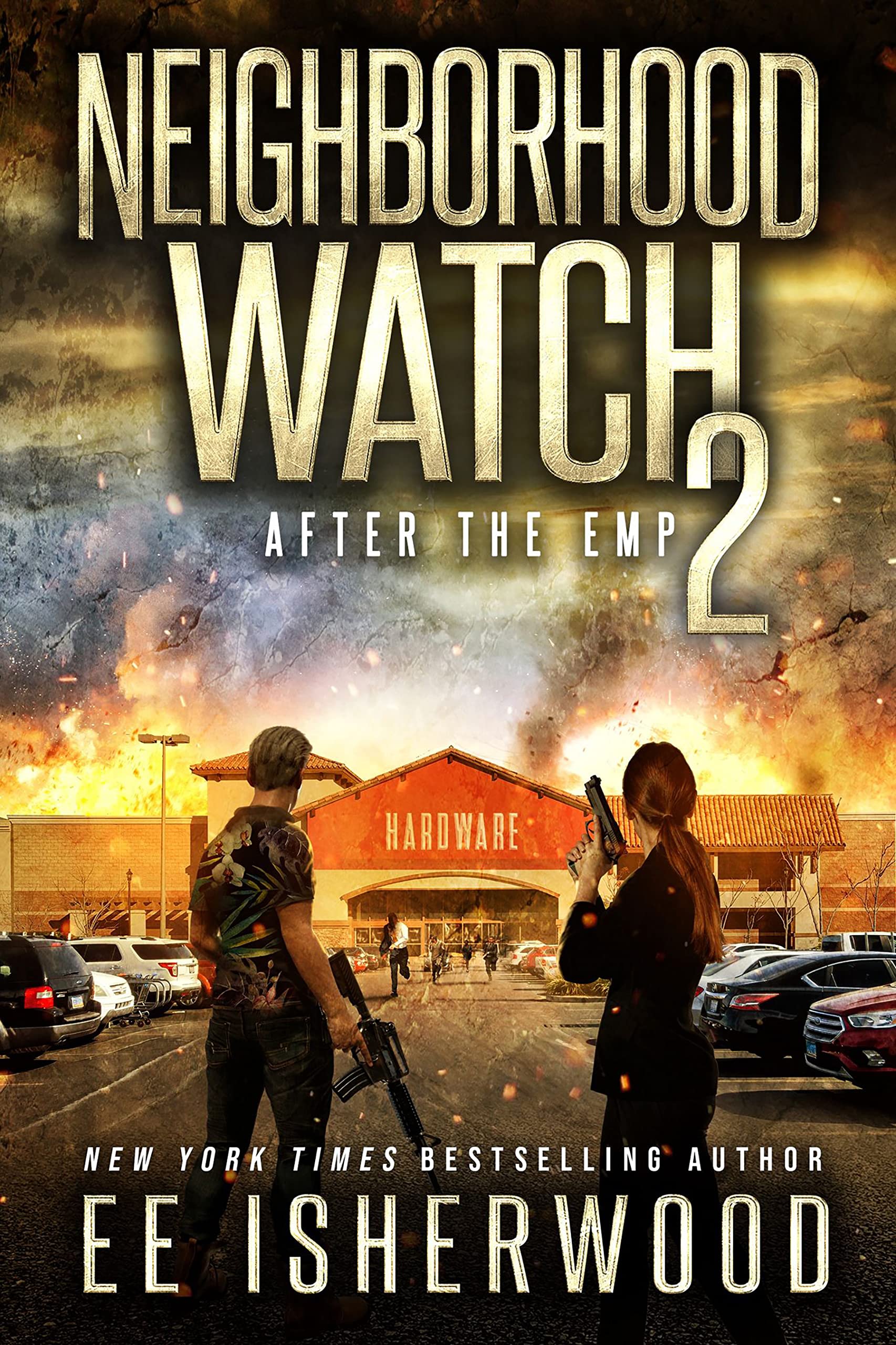 After the EMP 2 (Neighborhood Watch #2)