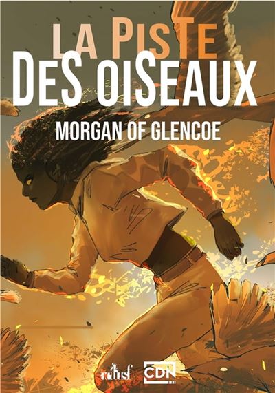La Piste des oiseaux (ebook)