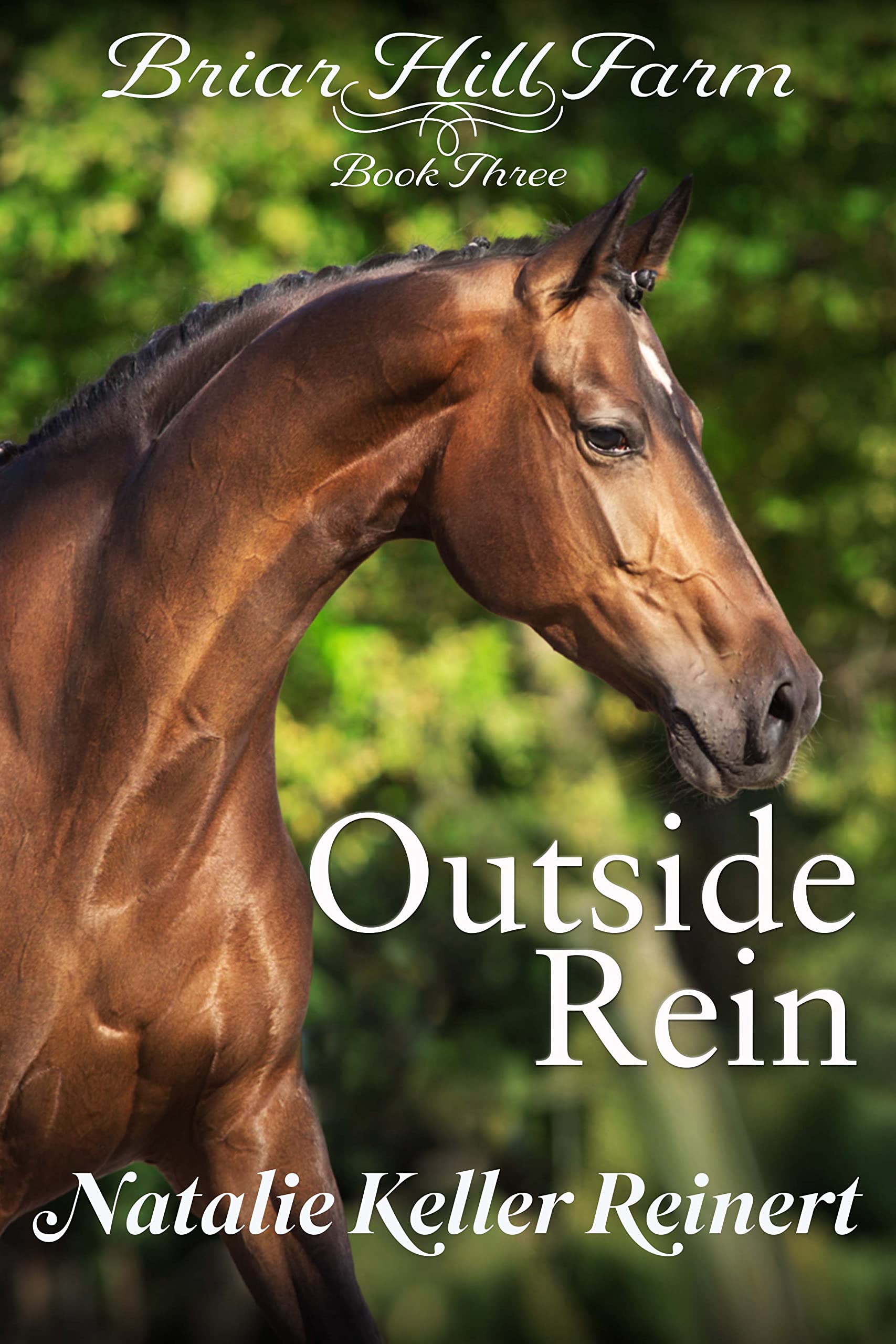 Outside Rein (Briar Hill Farm #3)