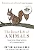 Inner Life Of Animals