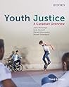 Youth Justice: A ...