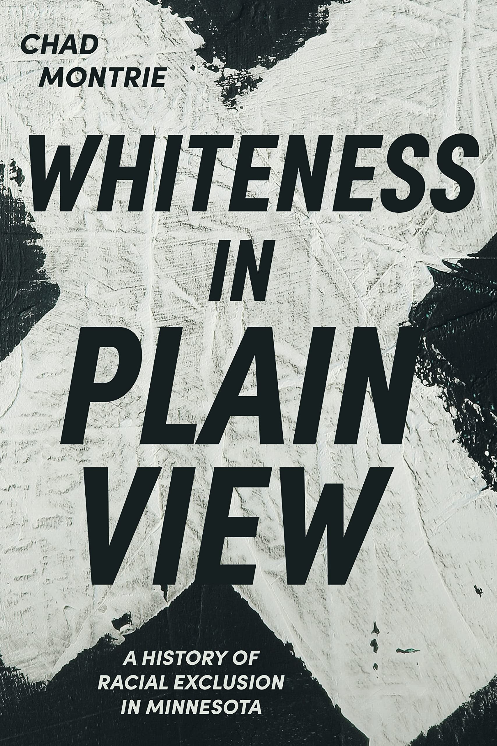 Whiteness in Plain View: A History of Racial Exclusion in Minnesota (Kindle Edition)