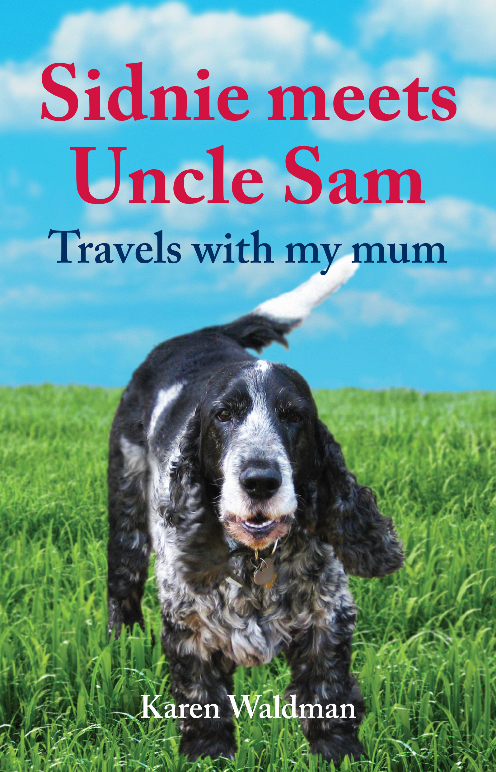 Sidnie Meets Uncle Sam