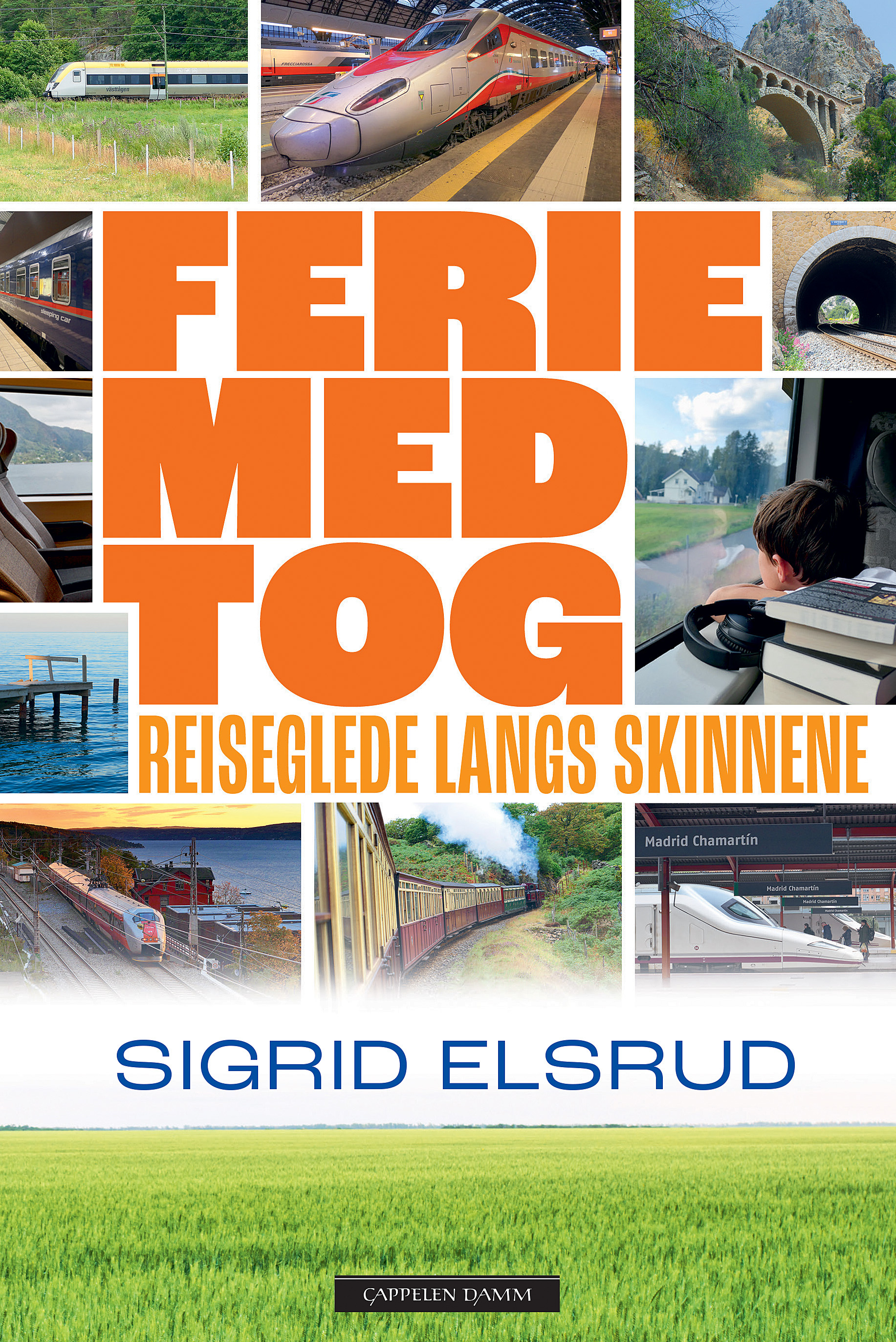Ferie med tog : reiseglede langs skinnene (Hardcover)