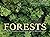 Forests: From the Amazon Ra...