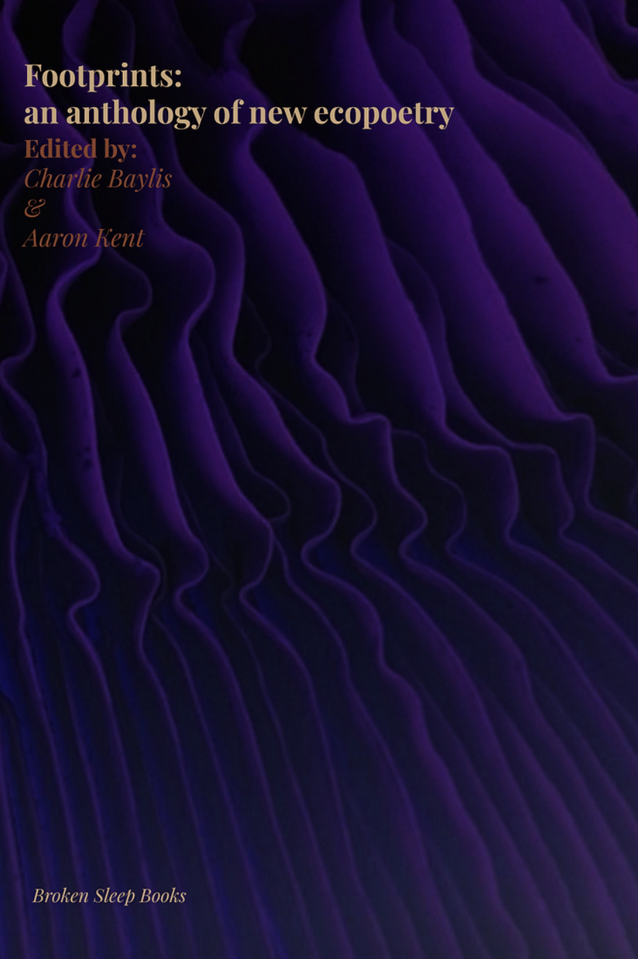 Footprints: an anthology of new ecopoetry (Paperback)