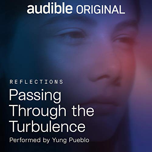 Passing Through the Turbulence (Audiobook)