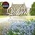 Il visconte che mi amava (Bridgertons, #2)