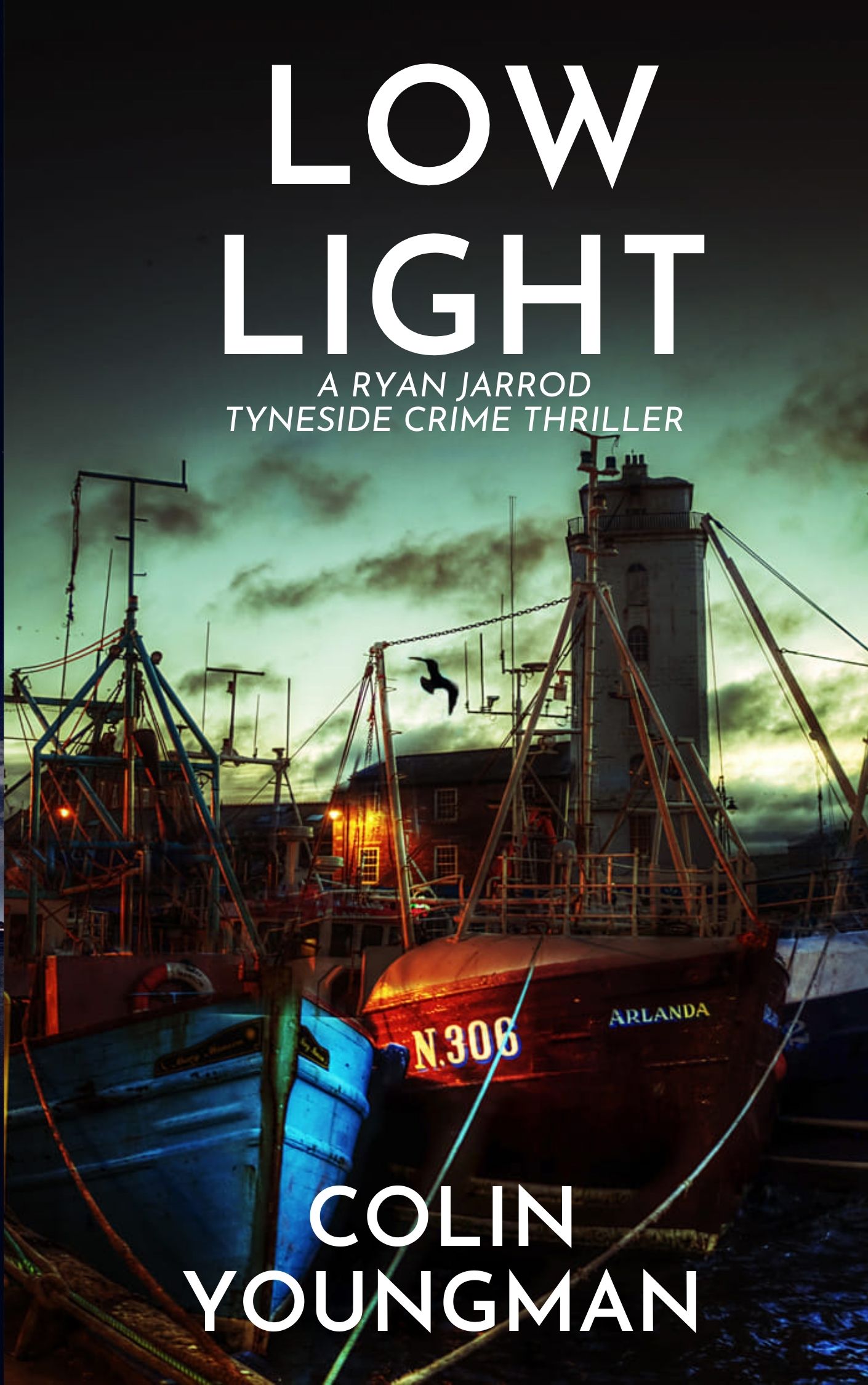 Low Light (Ryan Jarrod series #6)