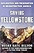 Saving Yellowstone: Exploration and Preservation in Reconstruction America