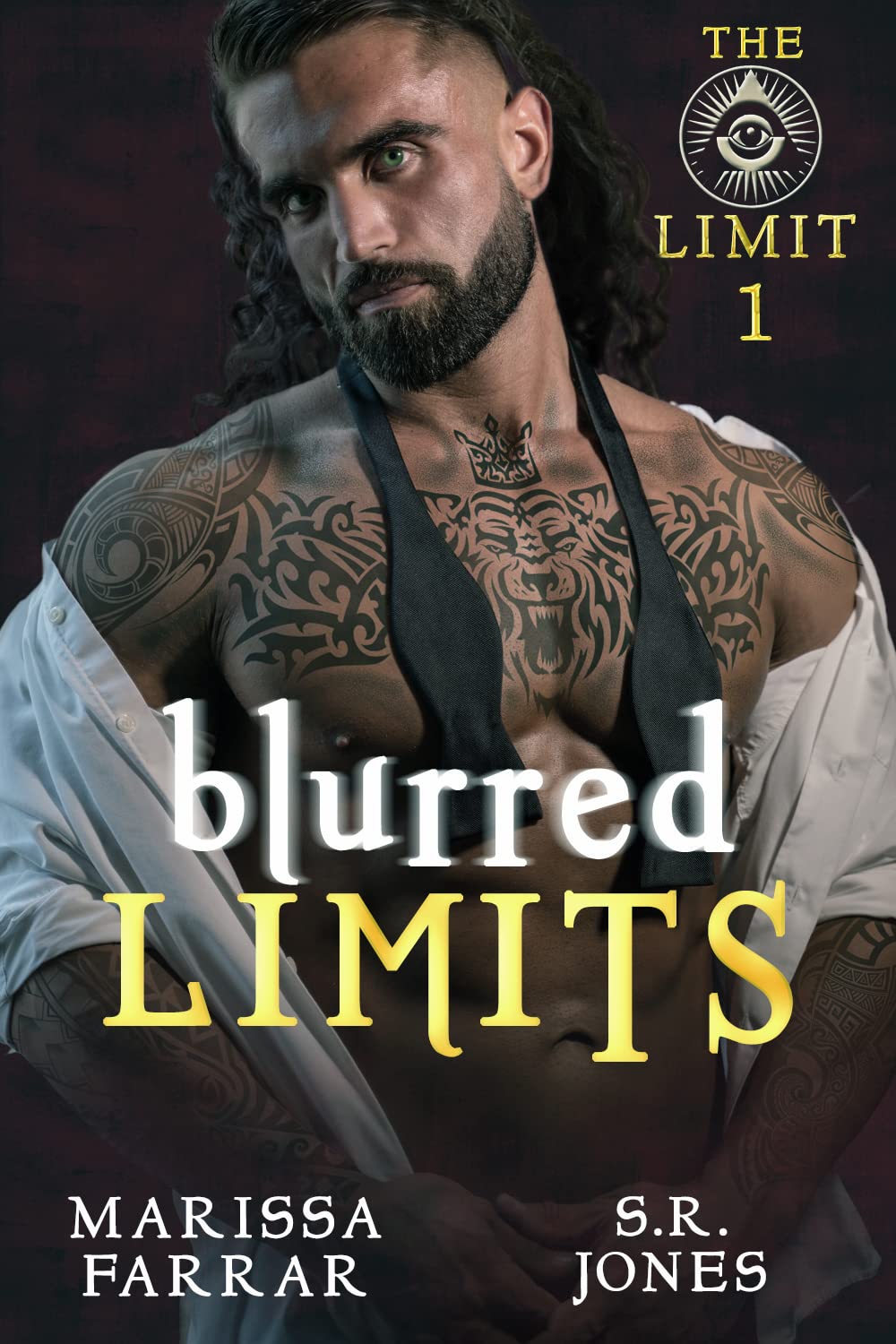 Blurred Limits (The Limit, #1)