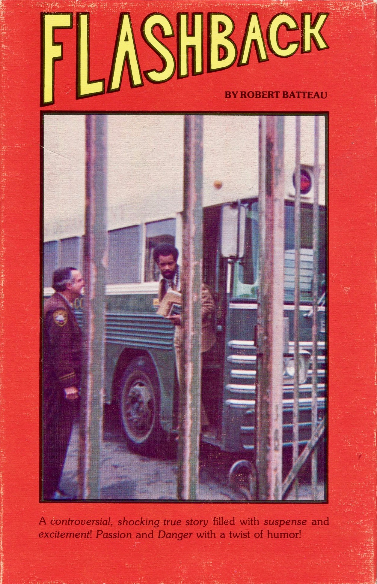 Flashback (Hardcover)