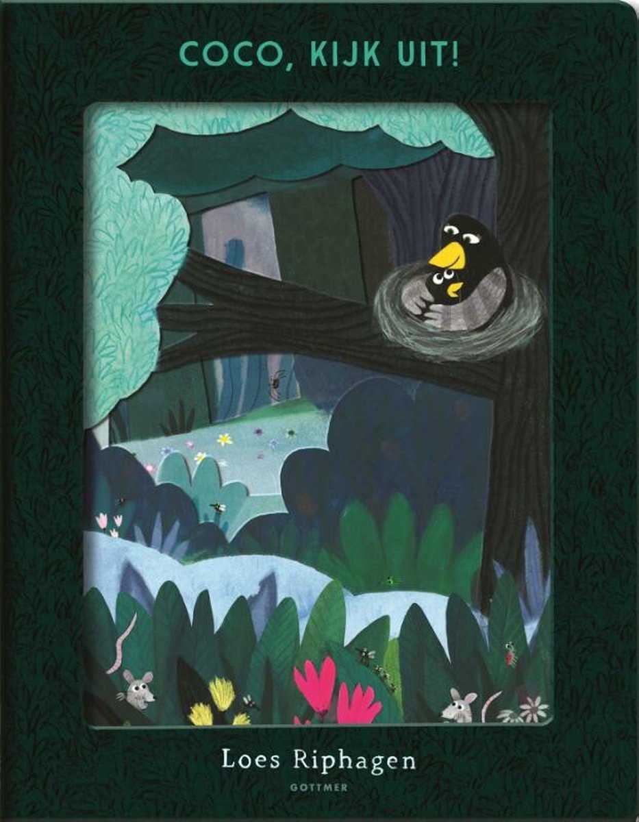 Coco, kijk uit! (Hardcover)