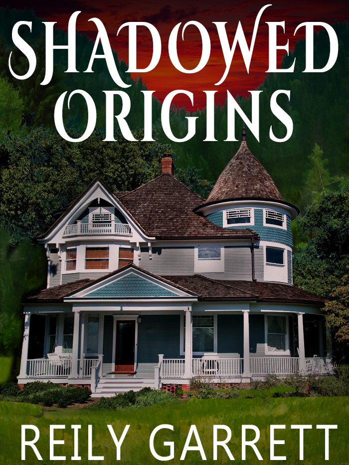 Shadowed Origins (The Guardians, #2)